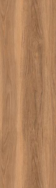 Honey Oak SF3W2504