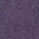 121-128 violet
